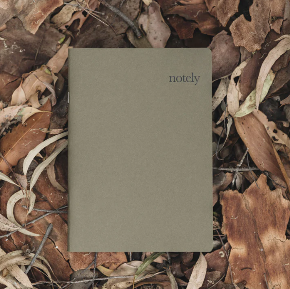 A5 Notebook Set of 2 - Olive Drab Lined